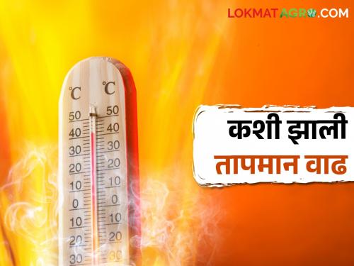 Head of Meteorological Department tells the history of temperature rise | Global Warming हवामान विभाग प्रमुख सांगतायत तापमान वाढीचा इतिहास