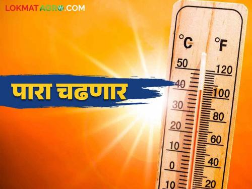 Maharsahtra Weather Update: In some places there will be October hits and in some places will be unseasonal rains will occur | Maharsahtra Weather Update : काही ठिकाणी ऑक्टोबर हिटच्या झळा तर काही ठिकाणी अवकाळी बरसणार