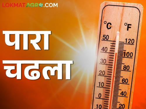 Increase in average temperature in the state by 4 degrees; Where is the temperature? | राज्यातील सरासरी तापमानात ४ अंशांनी वाढ; कुठे आहे किती तापमान?