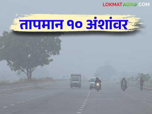 Maharashtra Weather Update : Cold winds coming from North East will increase the severity of the cold weather forecast read in detail | Maharashtra Weather Update : ईशान्येकडून येणारे थंड वारे थंडीची तीव्रता अधिक वाढवण्याचा अंदाज वाचा सविस्तर