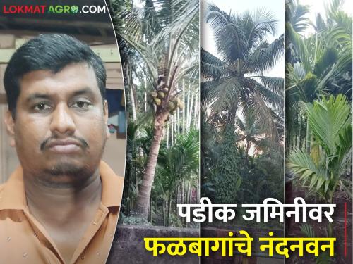 hard work done for 11 acre barren land converted into horticulture orchard | पडिक ११ एकरवर घाम गाळला; पिकविल्या फळबागा