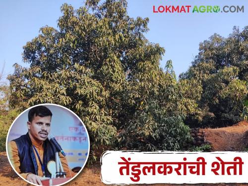 Despite having higher education, Tendulkar continued to devote himself to the service of Soil, especially agriculture | उच्च शिक्षण घेऊनही तेंडुलकरांनी धरली धरणीमातेच्या सेवेची कास करतायेत शेती खास