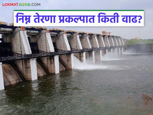 latest news Nimna Terna Project: Grace of water in May itself; Increase in storage of Nimna Terna Project Read in detail | Nimna Terna Project : मे महिन्यातच पाण्याची कृपा; निम्न तेरणा प्रकल्पाच्या साठ्यात वाढ वाचा सविस्तर