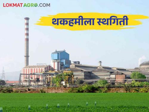 The High Court has finally stayed the loan for of 22 sugar factories in the state | राज्यात २२ साखर कारखान्यांच्या थकहमीला उच्च न्यायालयाची अखेर स्थगिती