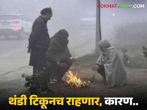 Latest News Maharashtra Cold Update How will the next five days be cold Know details | Maharashtra Cold Update : पुढील पाच दिवस थंडी कशी असणार? जाणून घ्या हवामान अंदाज 