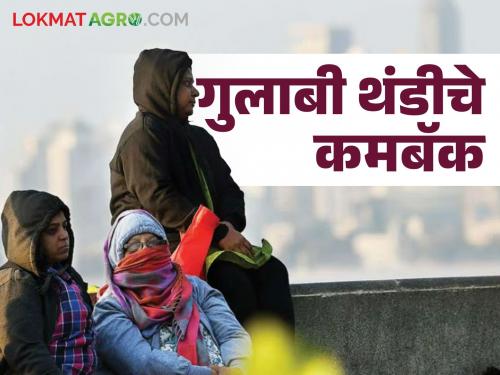 Latest News Maharashtra Weather Update Chance of cold weather in Maharashtra till Sankashti Chaturthi, read in detail  | Maharashtra Weather Update : महाराष्ट्रात संकष्टी चतुर्थीपर्यंत थंडी टिकून राहण्याची शक्यता, वाचा सविस्तर 