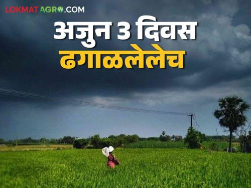 Latest News Maharashtra Weather Update Chance of cold start from 8th December in Maharashtra see details | Maharashtra Weather Update : 'या' तारखेपासून पुन्हा गुलाबी थंडीची चाहूल, जाणून घ्या पुढील हवामान अंदाज 