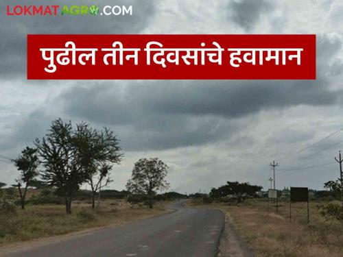 Latest news Maharashtra Weather Update Somewhat cloudy weather and cold break for the next three days, read in detail  | Maharashtra Weather Update : पुढील तीन दिवस काहीसे ढगाळ वातावरण अन् थंडीला विराम, वाचा सविस्तर 