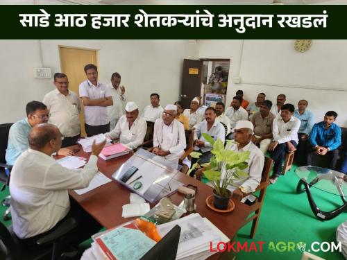 Latest News Drip irrigation subsidy of 25 crores of 8 thousand 500 farmers of Nashik district has been stopped | Agriculture News : ...तर कृषी मंत्र्यांच्या घरी जावून आंदोनल करु, शेतकरी ठिबक अनुदानासाठी आक्रमक