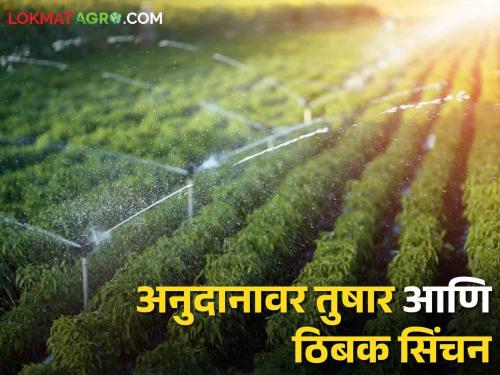 Latest News 90 percent subsidy for frost and drip irrigation, did you apply? Read in detail  | Drip irrigation : तुषार आणि ठिबकसाठी 90 टक्के अनुदान मिळतयं, तुम्ही अर्ज केला का? वाचा सविस्तर 