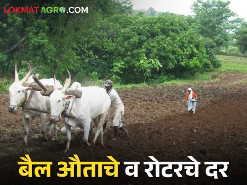 Kharif Planning Farmers rush for Kharif; Rotor, also waiting bullocks for sowing and other operations | Kharif Planning खरिपासाठी शेतकऱ्यांची धावाधाव; रोटर, बैलांच्या औतालाही वेटिंग