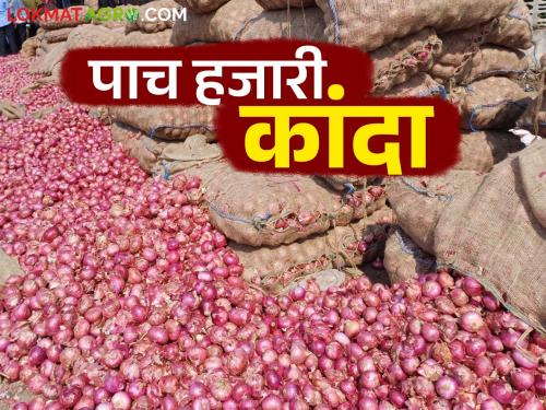 Kanda Bajar Bhav: In Nagar District in this market committee the price of onion at five and a half thousand rupees read in detail | Kanda Bajar Bhav : नगर जिल्ह्यात या बाजार समितीत कांद्याला साडेपाच हजार रुपये भाव वाचा सविस्तर