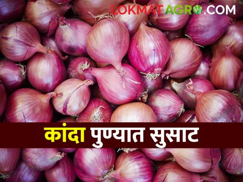 Onion Market Highest onion arrival in Pune today in the state; Read what you got | Onion Market राज्यात आज पुणे येथे सर्वाधिक कांदा आवक; वाचा काय मिळाला दर