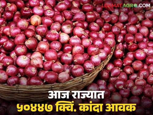 Onion Market Rate: Highest onion arrival in market in Nashik district; Read what rates are available | Onion Market Rate : नाशिक जिल्ह्यातील बाजारात सर्वाधिक कांदा आवक; वाचा काय मिळतोय दर