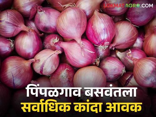 Onion Market Onion Market Today Pimpalgaon Baswant receives maximum summer onion; Read what rate | Onion Market आज पिंपळगाव बसवंतला सर्वाधिक उन्हाळ कांदा आवक; वाचा काय मिळाला दर