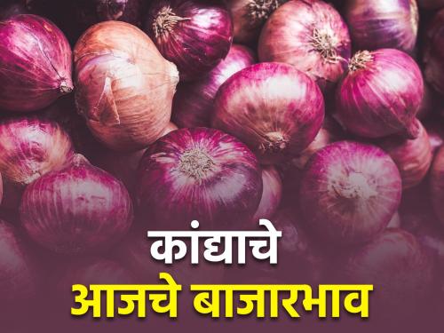 Latest News On Onion Rates Today's onion market price see | तुमच्या शहरातील कांद्याचे आजचे बाजारभाव, उन्हाळ आणि लाल कांद्याला काय भाव?