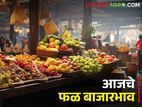 Latest News Todays fruits Market Price In Maharashtra bajar samiti | द्राक्षांसह केळीचे भावही घसरले, जाणून घ्या आजचे सविस्तर फळांचे बाजारभाव 