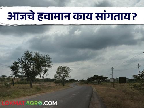 Maharashtra Weather Update : Rain get a holiday ! Light showers are possible at some places | Maharashtra Weather Update : पावसाने मारली सुट्टी ! तर काही ठिकाणी हलक्या सरींची शक्यता