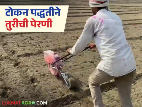 latest news Token Technology: Token technology on six acres; Read Shivprasad Walande's innovative experiment in detail | Token Technology : सहा एकरवर टोकन तंत्रज्ञान; शिवप्रसाद वलांडे यांचा नाविन्यपूर्ण प्रयोग वाचा सविस्तर