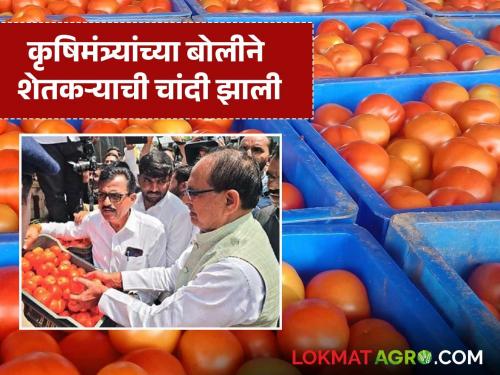 The Union Agriculture Minister auctioned tomatoes at Narayangaon market; How did he get the price? | नारायणगाव बाजारात चक्क केंद्रीय कृषिमंत्र्यांनी केला टोमॅटोचा लिलाव; कसा मिळाला भाव?