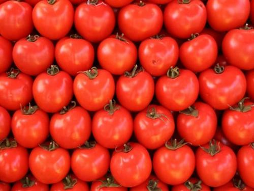 tomato import from nepal and tomato smuggling to India, what will be impact | नेपाळमधून टोमॅटोची आयात व तस्करीही; काय होणार परिणाम?