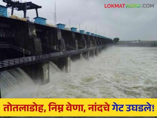 Latest News Water Discharged Totladoh Vena and Nand dam of nagpur district read in detail  | Water Discharged : तोतलाडोहचे 14, निम्न वेणाचे 21 तर नांदचे 7 गेट उघडले, वाचा सविस्तर 