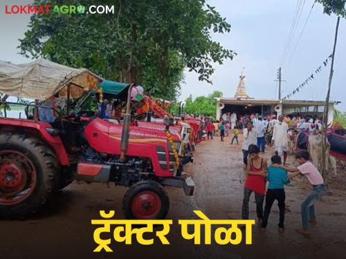 Latest news tractor pola are taking place in navargoan village in chandrapur district, read in detail | Tractor Pola : बैलांची जागा ट्रॅक्टरने घेतली, 'या' गावात साजरा होतो ट्रॅक्टर पोळा, वाचा सविस्तर 