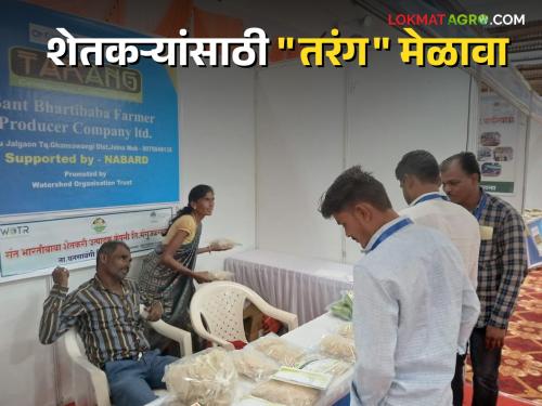 Farm produce got a rightful market | Farm Produce Got a Rightful Market : शेतमालाला मिळाली हक्काची बाजारपेठ