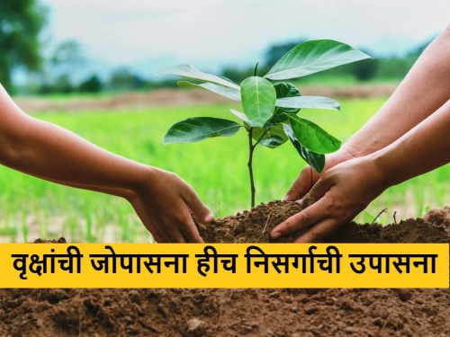 Important Scheme of State Government for Tree Conservation in villages | वनराई होणार गावच्या सुख, दु:खाची साथीदार, वृक्ष संवर्धनासाठी 'ही' महत्वपूर्ण योजना 