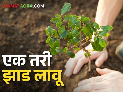 World Environment Day; Let's plant at least one tree, friend, let's give water it & save it | World Environment Day; एक तरी झाड लावू मित्रा त्याला पाणी घालू