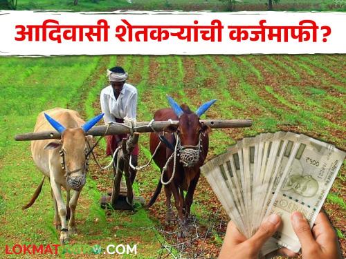 Latest News Positive regarding loan waiver of 1500 crores of tribal farmers | Trible Farmers : आदिवासी शेतकऱ्यांना मिळणार दिलासा, थकीत कर्जाच्या फायली मागवल्या....