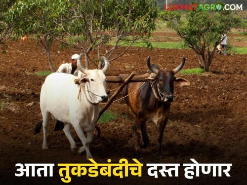 Revenue Minister's big announcement regarding the land fragmentation law; Who will benefit? Know in detail | तुकडेबंदी कायद्या संदर्भात महसूल मंत्र्यांची मोठी घोषणा; कुणाला होणार फायदा? जाणून घ्या सविस्तर