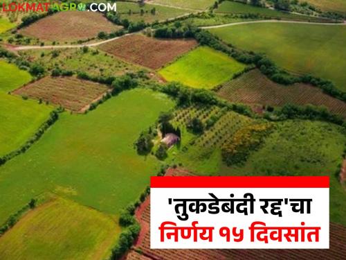 Nine-member committee formed to regularize fragmented land action; decision to be given within 15 days | तुकड्यांतील जमीन नियमित करण्यासाठी नऊ सदस्यांची समिती स्थापन; १५ दिवसांत निर्णय देणार