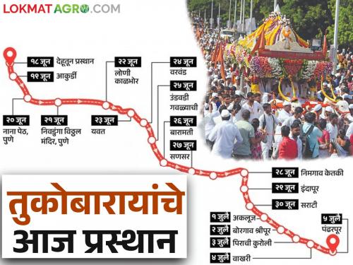 Tukob's palanquin departs today; Where and when will it stop? Know the detailed schedule | तुकोबांच्या पालखीचे आज प्रस्थान; कुठे कधी मुक्काम? जाणून घ्या सविस्तर वेळापत्रक