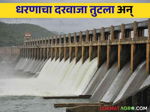 50 TMC of water has to be released after the gate of this dam has gone | या धरणाचा दरवाजा गेला वाहून सोडावे लागणार ५० टीएमसी पाणी