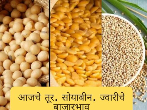 Latest News Today's market prices of tur, soybeans, sorghum | तूर, सोयाबीन, ज्वारीला आज काय बाजारभाव मिळाला, जाणून घ्या सविस्तर 