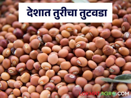 Latest News Shortage of 16 lakh tonnes of turi in india says tur crop experts | Tur Market : देशात 16 लाख टन तुरीचा तुटवडा, दर 13 हजारांवर पोहोचणार, वाचा सविस्तर