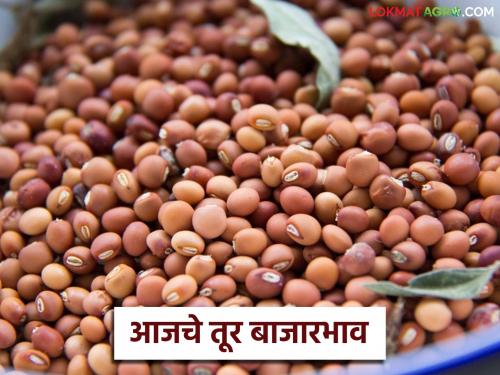 latest news Tur bajar bhav: White tur is the highest price in the market. Read in detail | Tur bajar bhav : पांढऱ्या तुरीला 'या' बाजारात सर्वाधिक दर वाचा सविस्तर