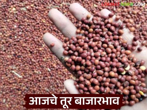 latest news Tur Bajar Bhav: Boom in the market; Red and white tur are priced at a whopping 'so many' rupees Read in detail | Tur Bajar Bhav : बाजारात तेजी; लाल व पांढऱ्या तुरीला तब्बल 'इतके' रुपये दर वाचा सविस्तर