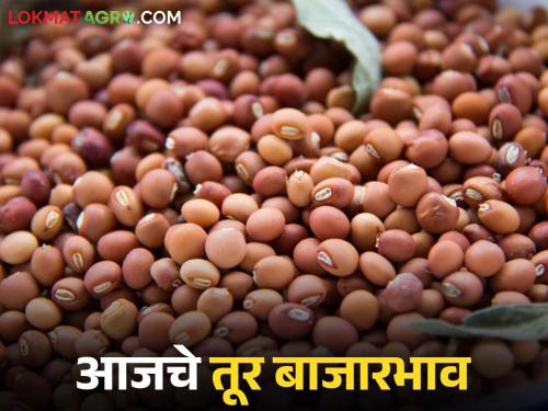 latest news Tur bajar bhav: High prices in Akola and Amravati; Fall in some markets Read in detail | Tur bajar bhav : अकोला, अमरावतीत उच्चांकी दर; काही बाजारात घसरण वाचा सविस्तर