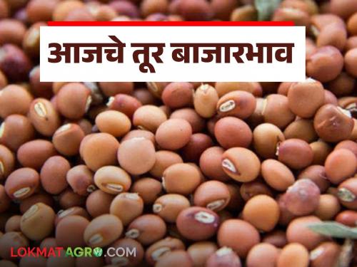 latest news Tur bajar bhav: Know in detail what are the tur market prices today | Tur bajar bhav : आजचे तूर बाजारभाव कसे आहेत जाणून घ्या सविस्तर