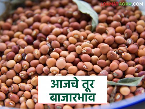 latest news Tur bajar bhav: Tur arrivals are low; Good prices for red and white Tur Read in detail | Tur bajar bhav : तुरीची आवक कमी; लाल-पांढऱ्या तुरीला चांगला दर वाचा सविस्तर