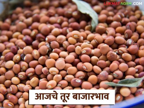 latest news Tur bajar bhav: Tur is booming in the state; Read the details of each market here in detail | Tur bajar bhav : राज्यात तूर तेजीत; प्रत्येक बाजाराचा तपशील येथे वाचा सविस्तर