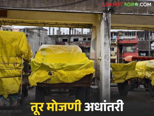 Tur Kharedi: No roof, no counting… Farmers' plight at Nafed center! Read in detail | Tur Kharedi : ना छत, ना मोजणी… नाफेड केंद्रात शेतकऱ्यांची फरपट! वाचा सविस्तर