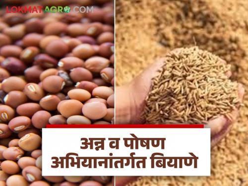Latest News Seeds at 50 percent subsidy under Food and Nutrition Mission, read in detail | Agriculture News : अन्न व पोषण अभियानांतर्गत 50 टक्के अनुदानावर बियाणे, वाचा सविस्तर 