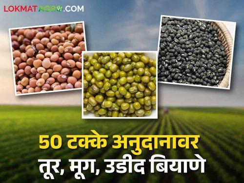 Latest News Udid, groundnut, tur seeds on 50 percent subsidy for farmers see details | Seed : शेतकऱ्यांनो, आताच अर्ज करा, ५० टक्के अनुदानावर उडीद, भुईमुग, तुर बियाणे 