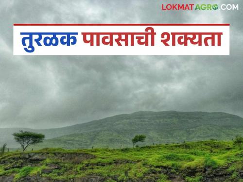 Latest news possibility of sporadic rain in few district for next three days in maharashtra | Rain Alert : राज्यात पुढील तीन दिवस 'या' जिल्ह्यात तुरळक पावसाची शक्यता!