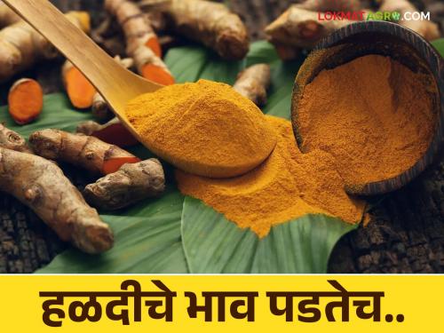 Turmeric & Soybean Market: As the prices of turmeric and soybeans fall in the market; Farmers found themselves in financial crisis | Turmeric & Soybean Market : बाजारात हळद, सोयाबीनचे भाव पडतेच; शेतकरी सापडले आर्थिक कोंडीत