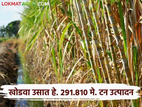 Where carts of rice straw were seen, carts of sugarcane are now seen; Nanasaheb Navale | जेथे भाताच्या पेंढ्यांच्या गाड्या दिसत होत्या, तेथे आता उसाच्या गाड्या दिसतात; नानासाहेब नवले