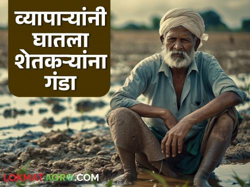 Five businessmen together duped farmers of Rs 2 crore; Read what the case is about | पाच व्यापाऱ्यांनी मिळून शेतकऱ्यांना घातला तब्बल दोन कोटी रुपयांचा गंडा; वाचा काय आहे प्रकरण
